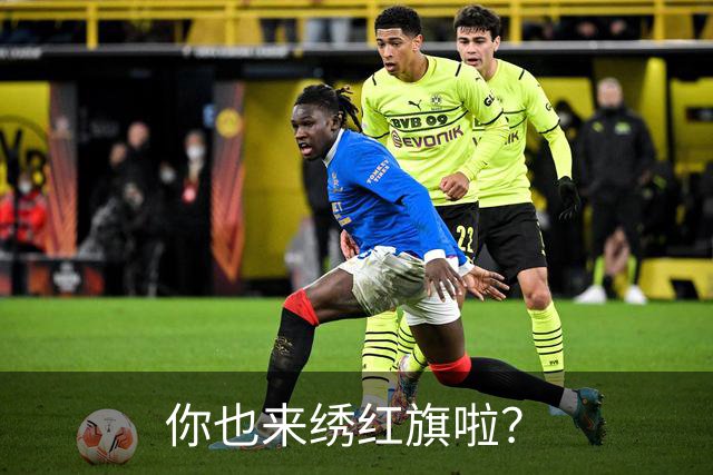 你也来绣红旗啦？