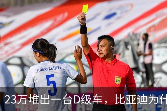 23万堆出一台D级车，比亚迪为什么连张战报都不敢发